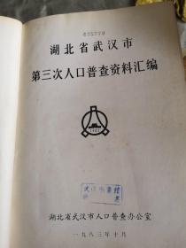 湖北电子人口普查_湖北健鼎电子车间图片