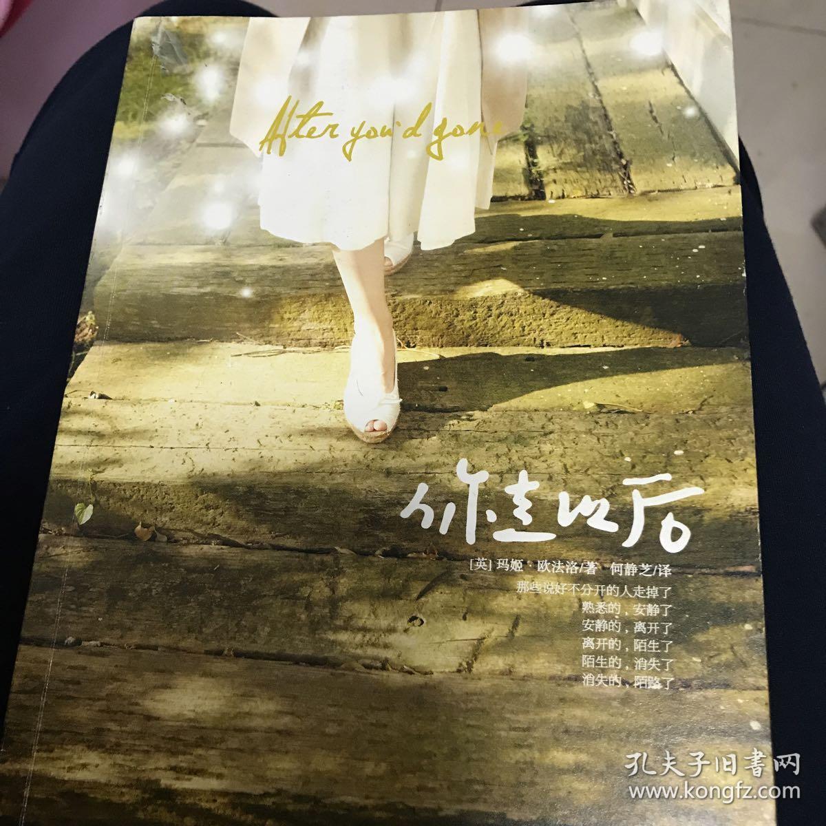 你走以后(英)玛姬·欧法洛著