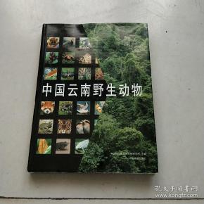 中国云南野生动物