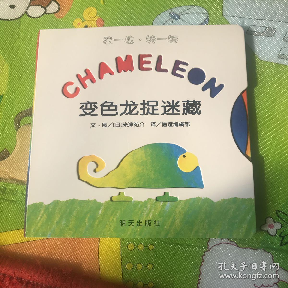 变色龙捉迷藏