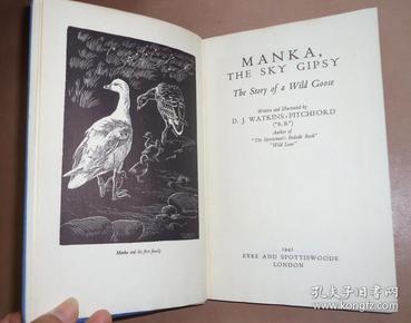 big wild goose pagoda,walled city manka, the sky gipsy the story of a wild goose 经典动物文学绘本