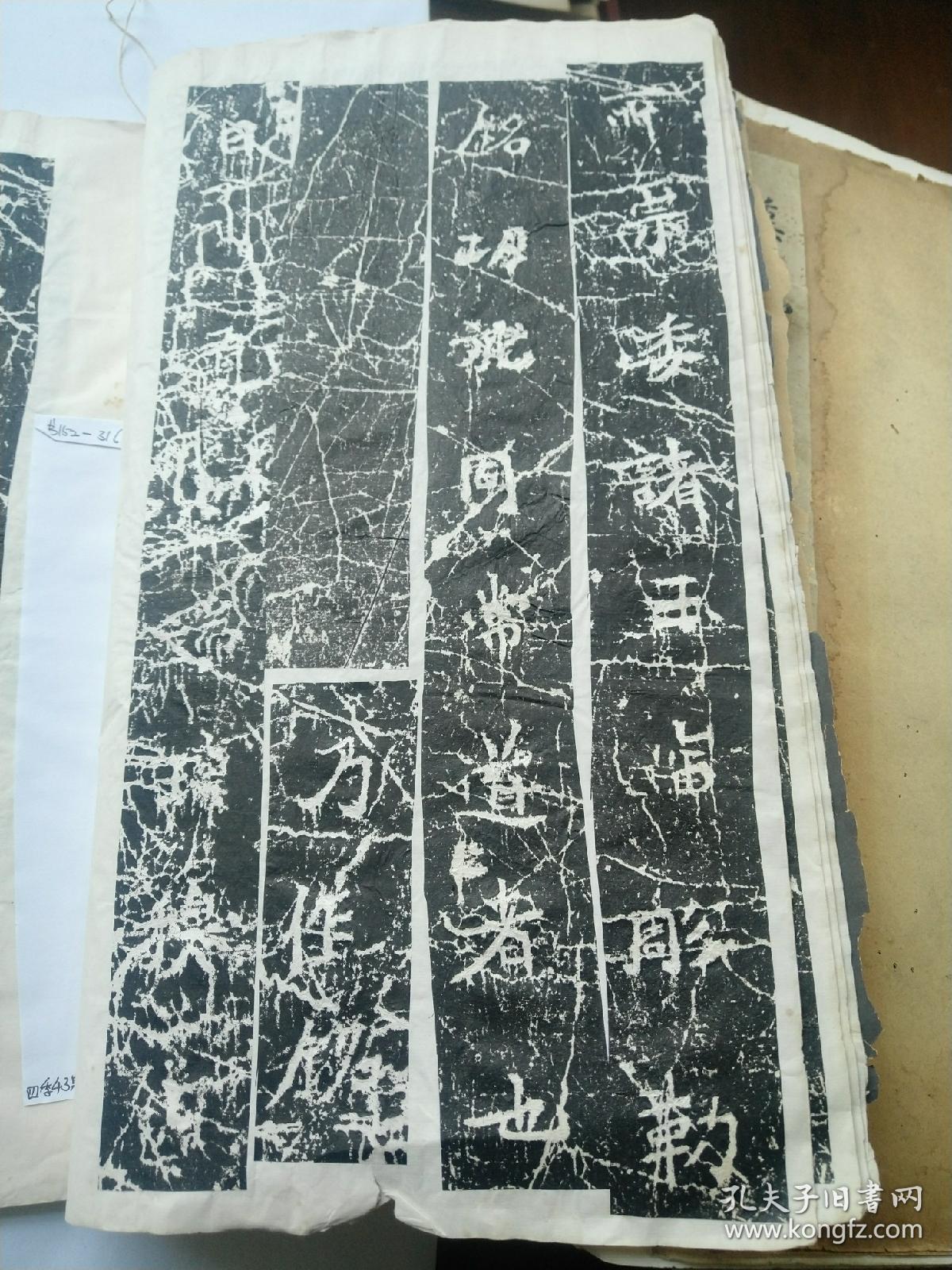 展姓人口_人口普查(3)