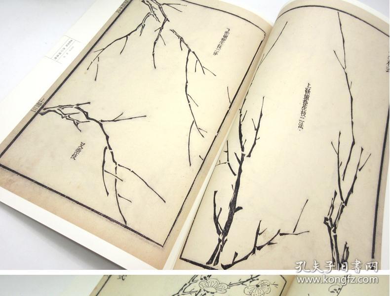 全13册 康熙原版 芥子园画传芥子园画谱正版临摹梅兰竹菊谱花鸟草虫谱