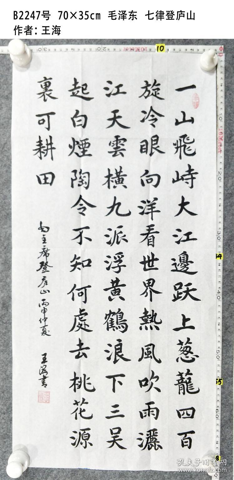b2247号 70×35cm 七律 登庐山 作者:王海 知名书法家