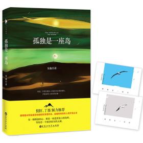 孤独是一座岛(媲美《三体》《时间旅行者的妻