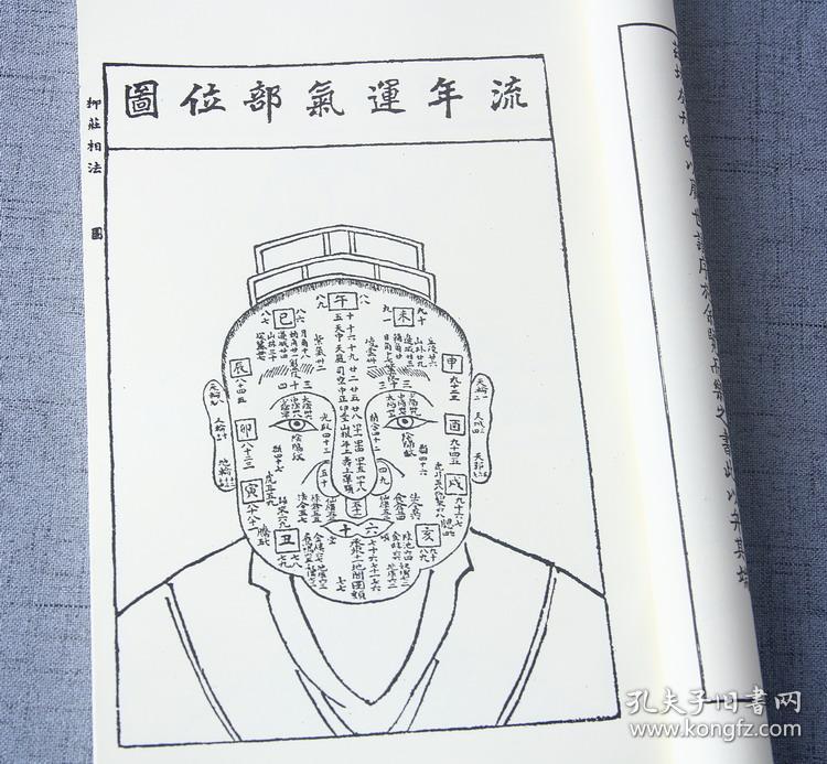 相学上的九骨图解