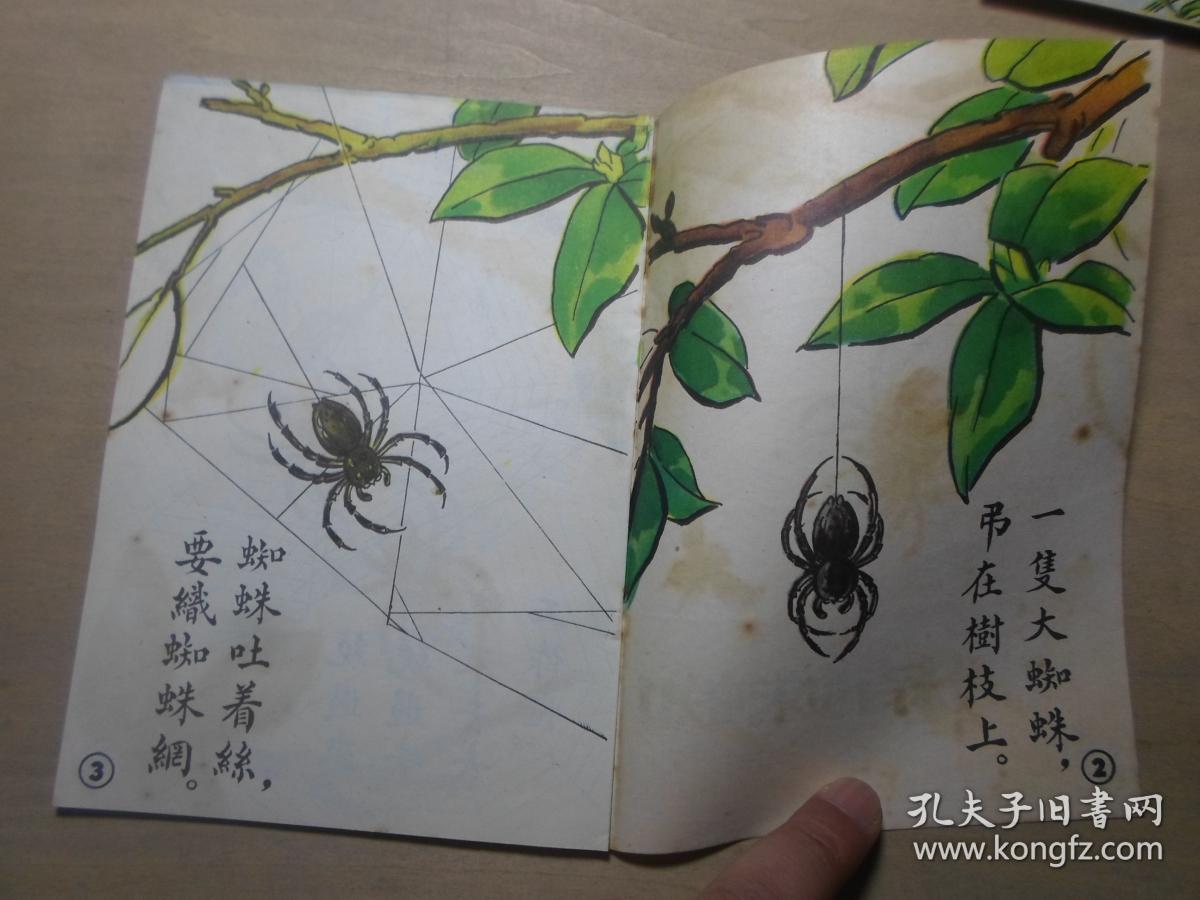 小主人文库 少儿童教育 全彩图本连环画 1950年初版 《蜘蛛结网》沈子