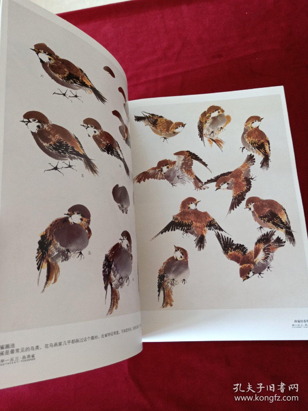 举一反三 画燕雀