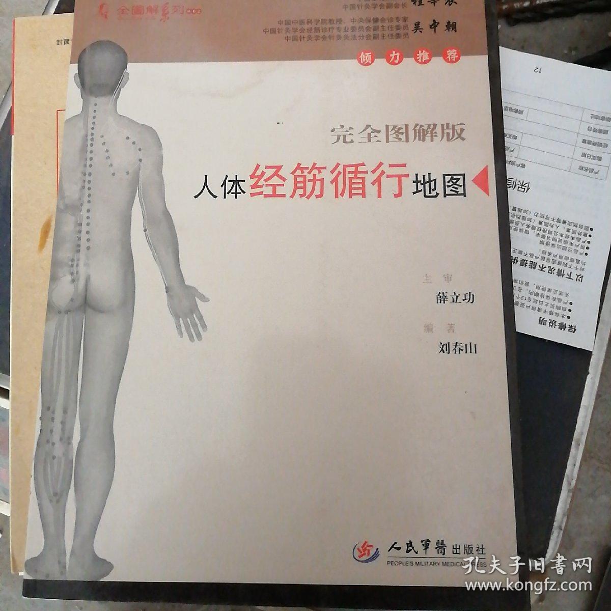 人体经筋循行地图 : 完全图解版