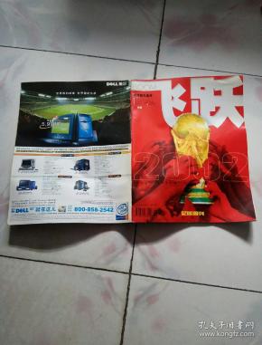 飞跃 足球周刊特别号2002年世界杯大盘点,中国