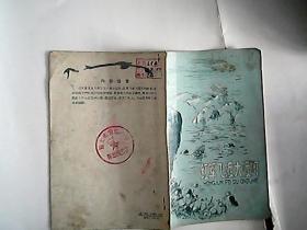 红军飞渡大渡河