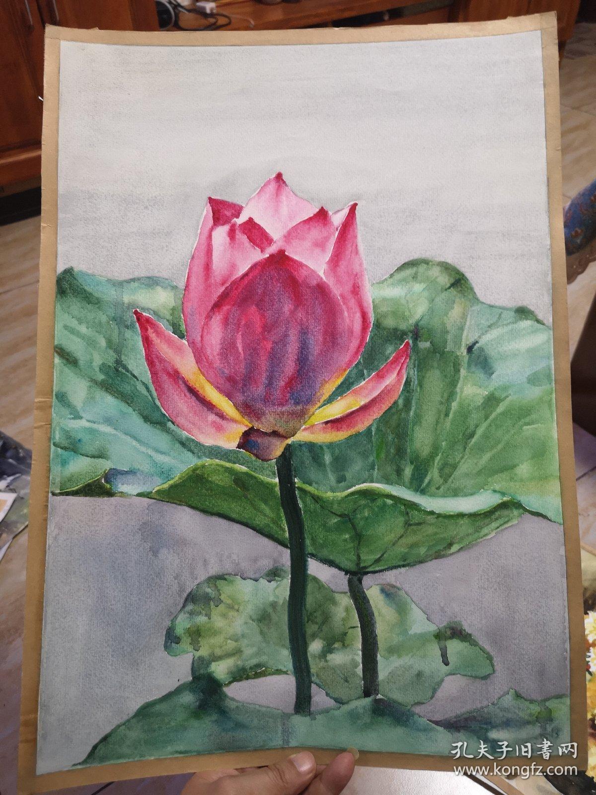 王志强水彩画《别样红》4开