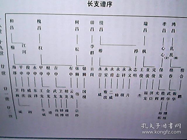 山西孙氏人口_山西人口密度分布图