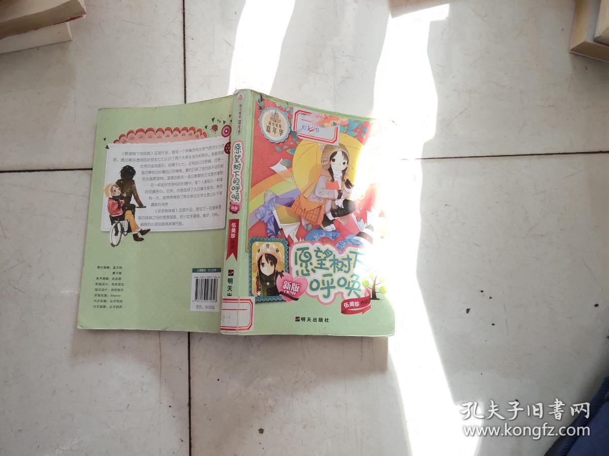 阳光姐姐嘉年华愿望树下呼唤新版
