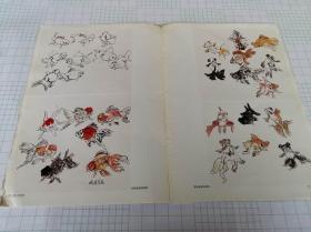 金鱼热带鱼绘画技法 水墨金鱼的画法 朵云轩国