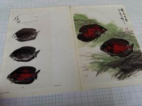 金鱼热带鱼绘画技法 水墨金鱼的画法 朵云轩国