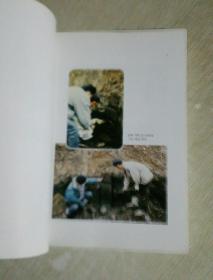 古朝鲜历史考古研究书籍:韩国 古代 稻作文化 起