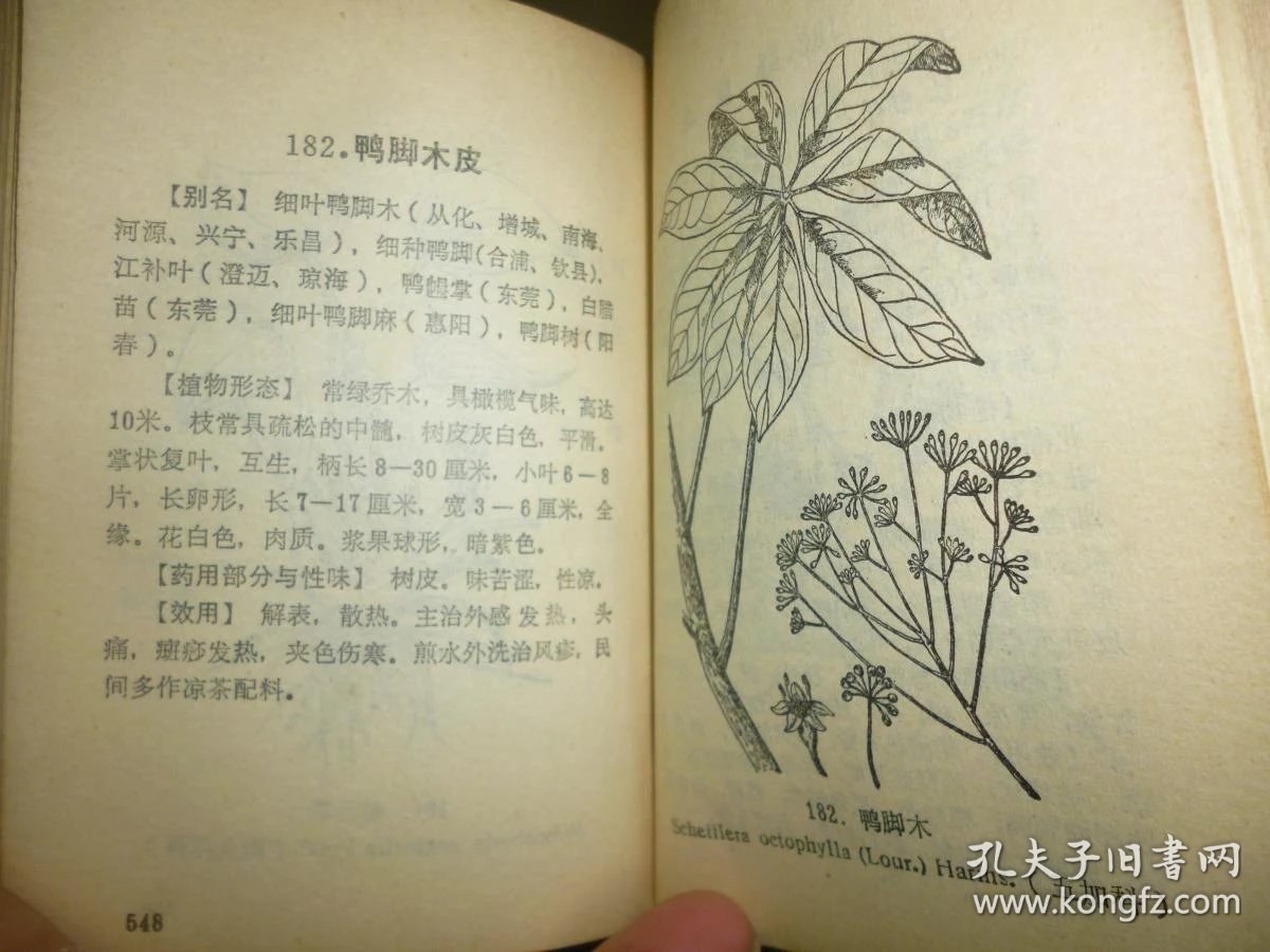 农村常见病民间中草药验方手册【文革医书 塑皮精装本