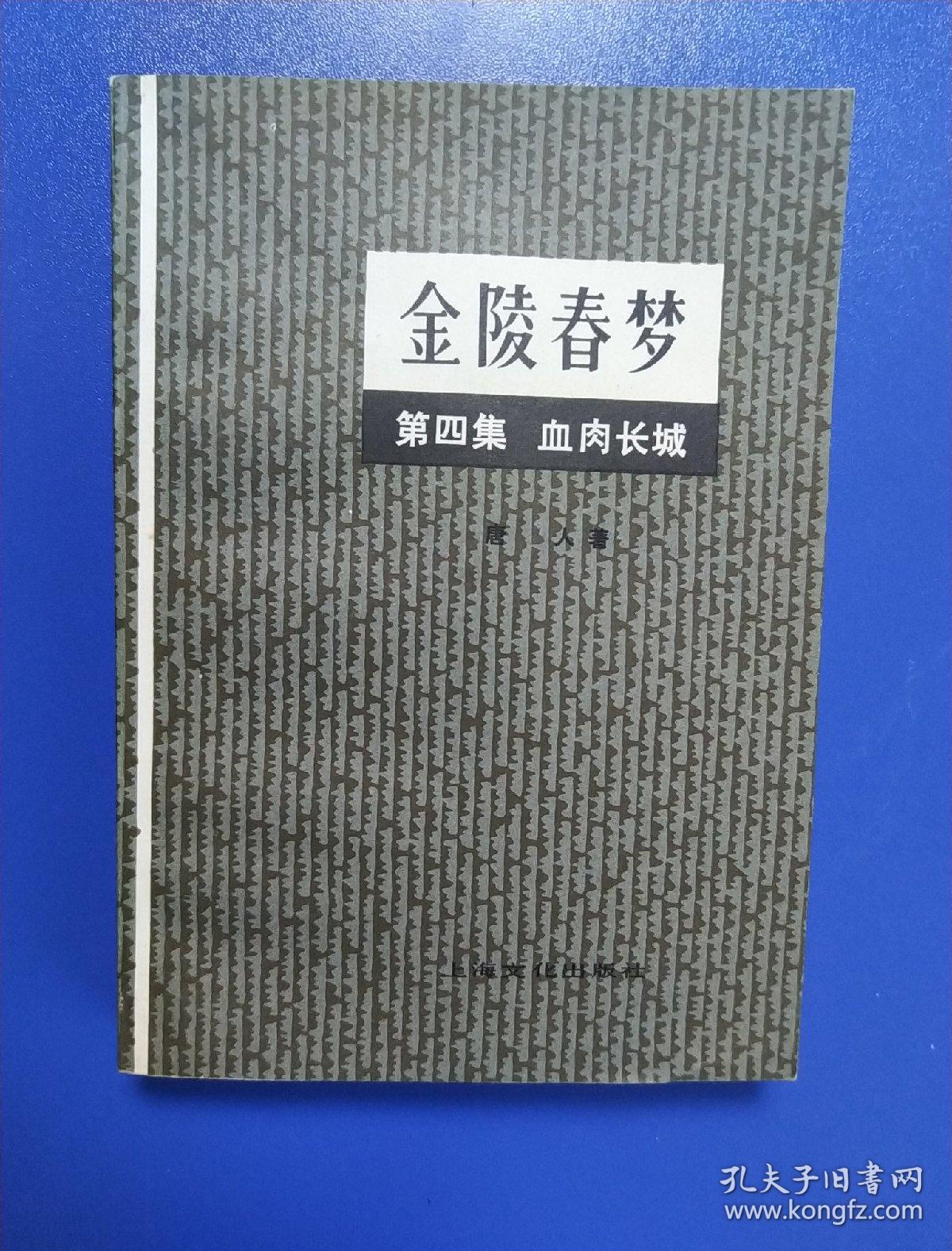 金陵春梦 第四集