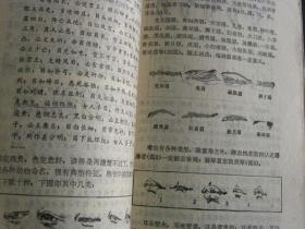 心术简谱_心术不正图片(2)