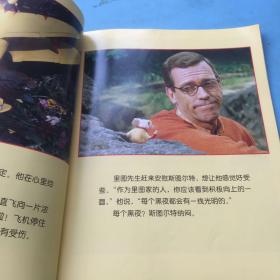 精灵鼠小弟.2:电影写真版