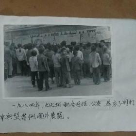 老照片（1984群众观看刑打典型案例图片展）
商水县城关文化站摄