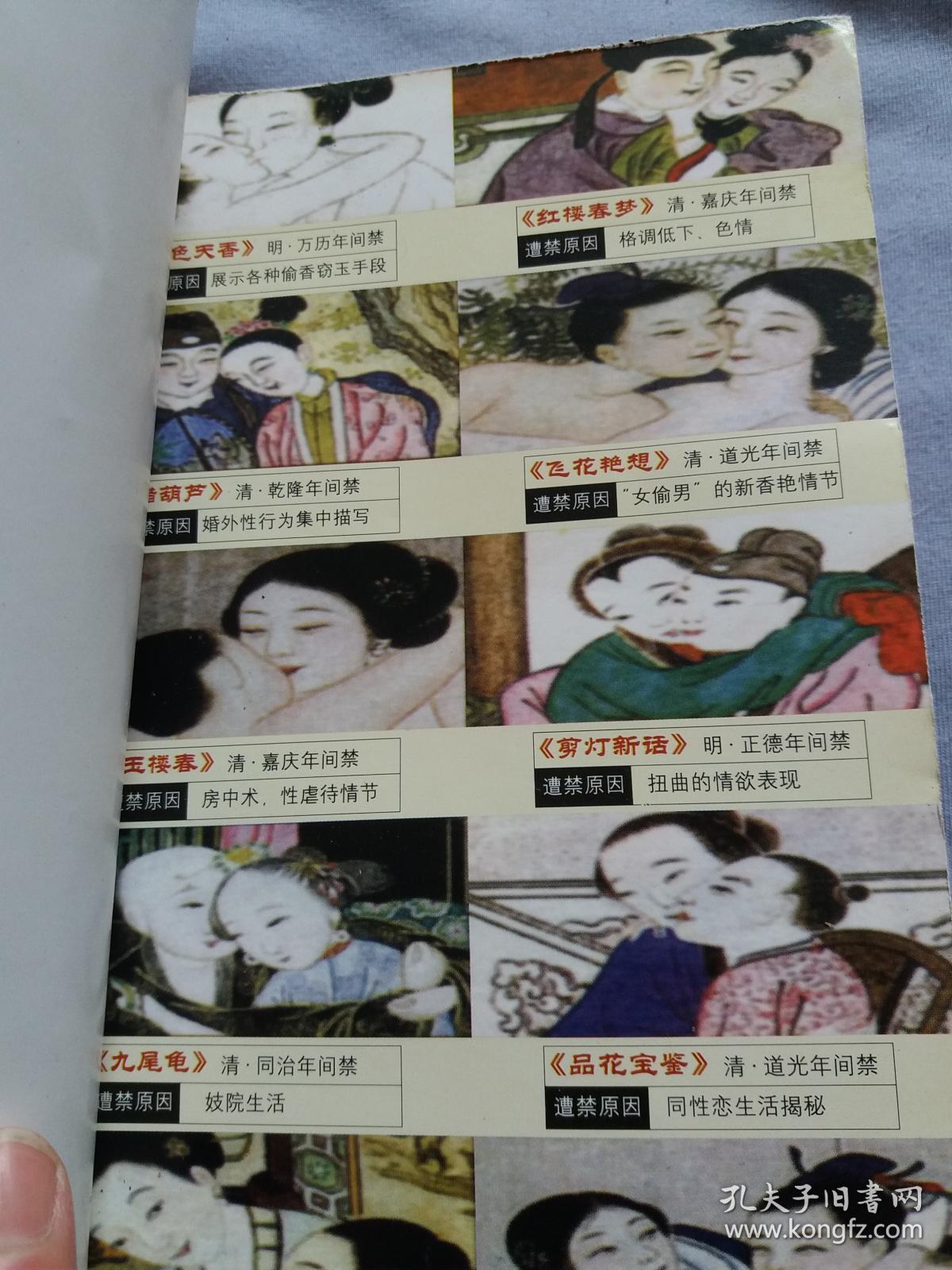 十大禁书 【11本售】醋葫芦 ,剪灯新话, 国色天香上下 ,品花宝鉴上 下