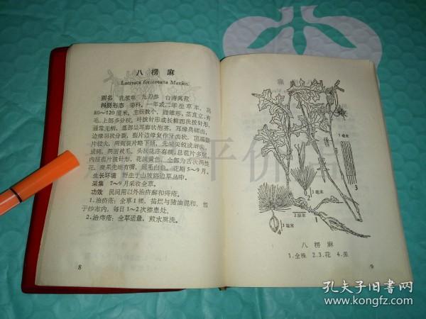 老中草药资料-------《南京地区常用中草药》!