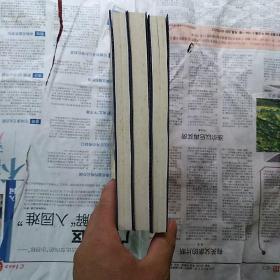 武侠小说:少年追命 上中下册