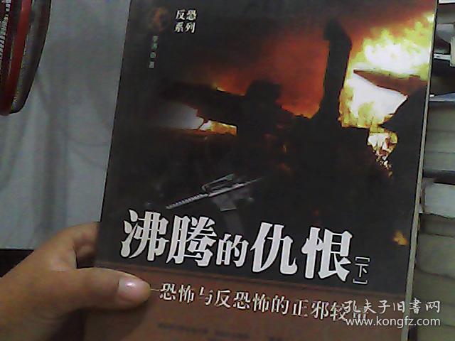 沸腾的仇恨:恐怖与反恐怖的正邪较量 下