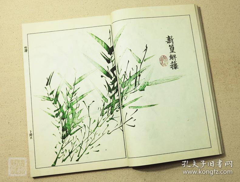 芥子园画谱康熙原版画传宣纸线装古本二集竹谱下册