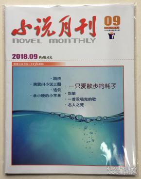 小说月刊 2018年 第9期 总第510期 邮发代号:12-115