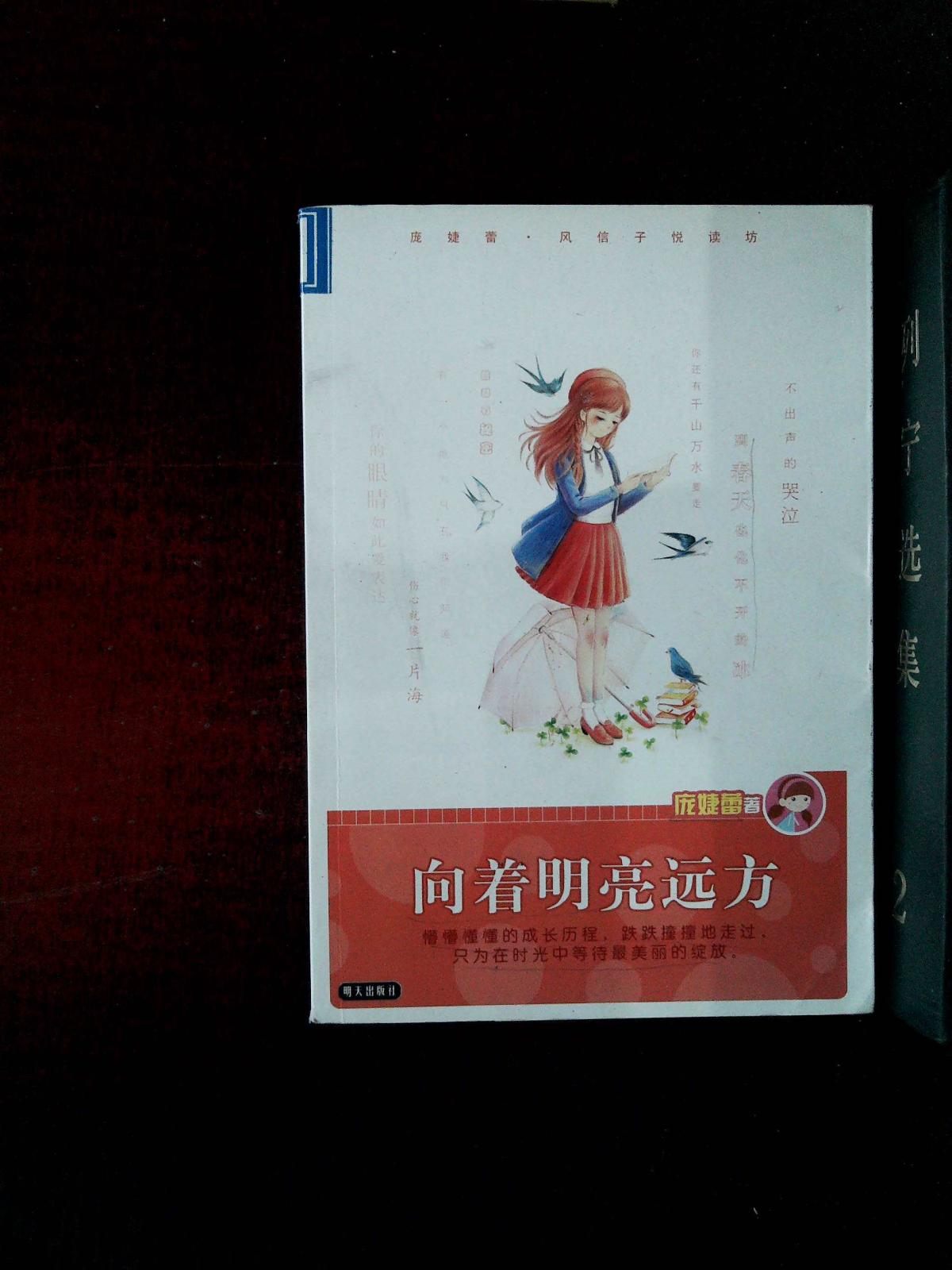 向着明亮远方