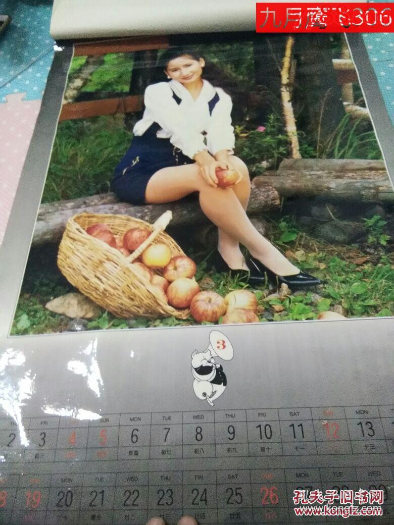 1995年挂历美女塑纸挂历13张全