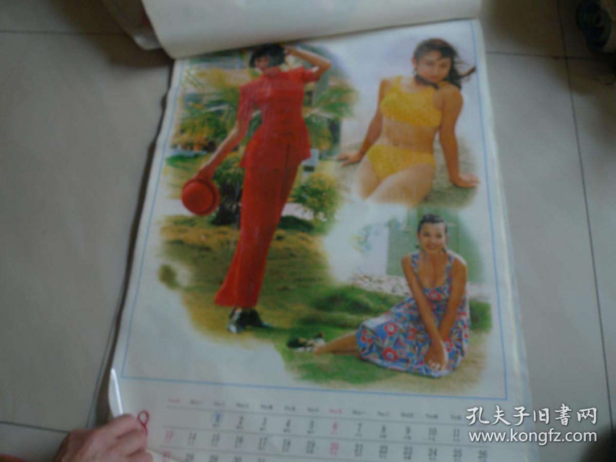 1995年塑纸美女挂历 全年十二张全 [群芳]_贾育平_孔