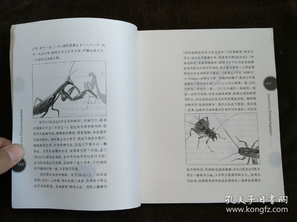 昆虫记:彩图故事版(手绘彩色插图)