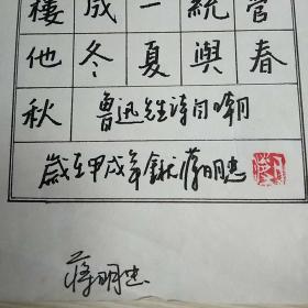 蒋明忠硬笔书法1件_鲁迅先生诗自嘲_孔夫子旧书网