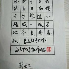 蒋明忠硬笔书法1件_鲁迅先生诗自嘲_孔夫子旧书网