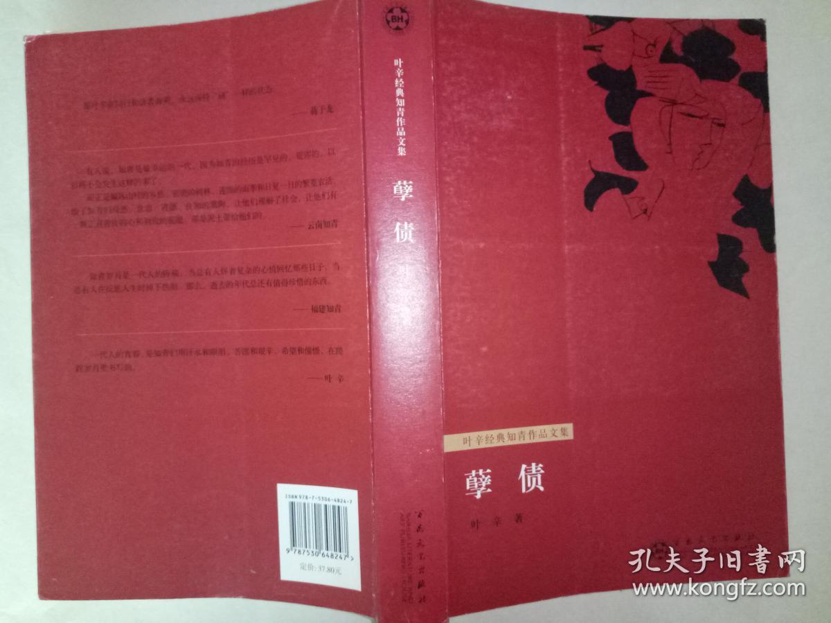 孽债(叶辛经典知青作品文集)