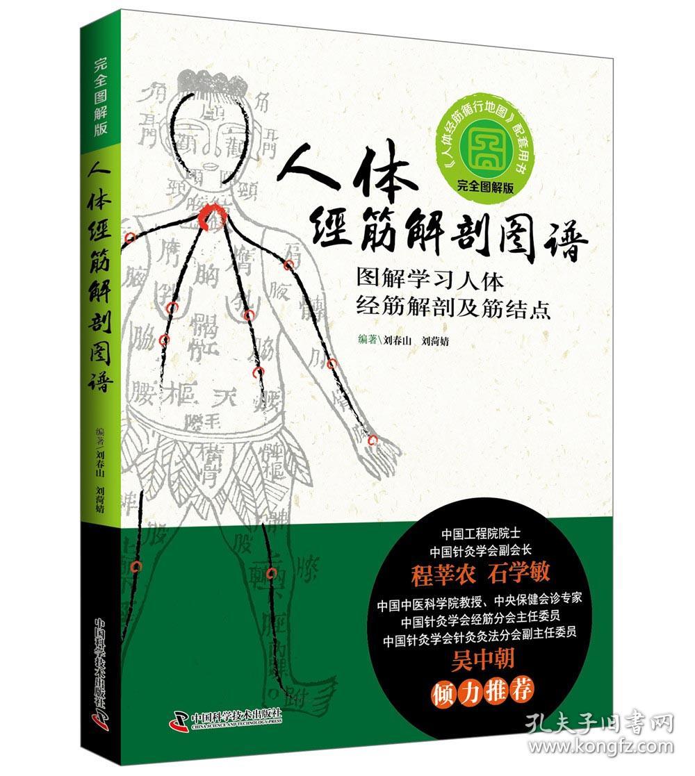 人体经筋解剖图谱图解学习人体经筋解剖及筋结点