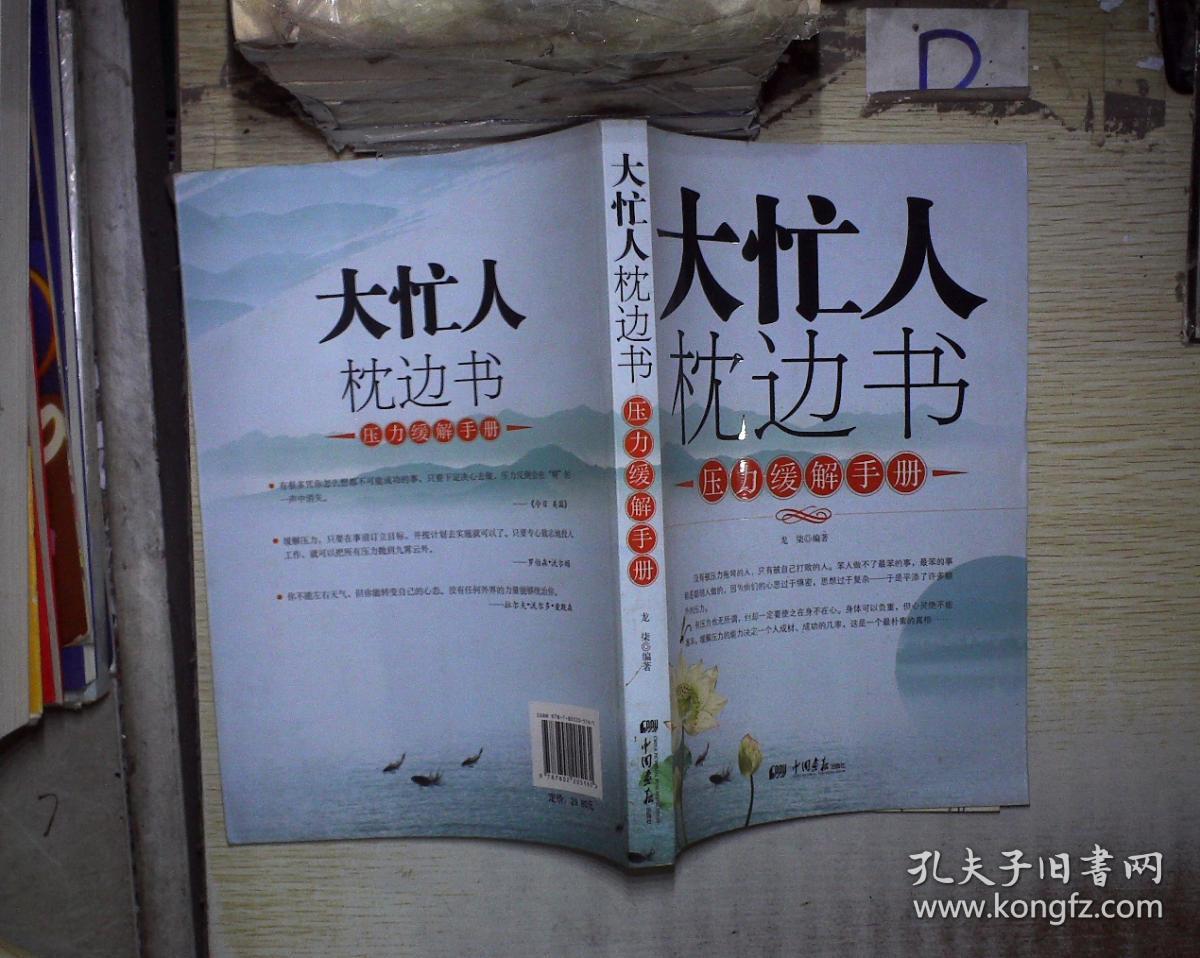 大忙人枕边书:压力缓解手册