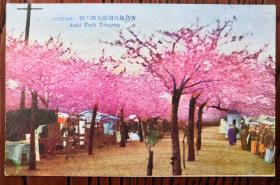 清民“青岛公园”老明信片一枚