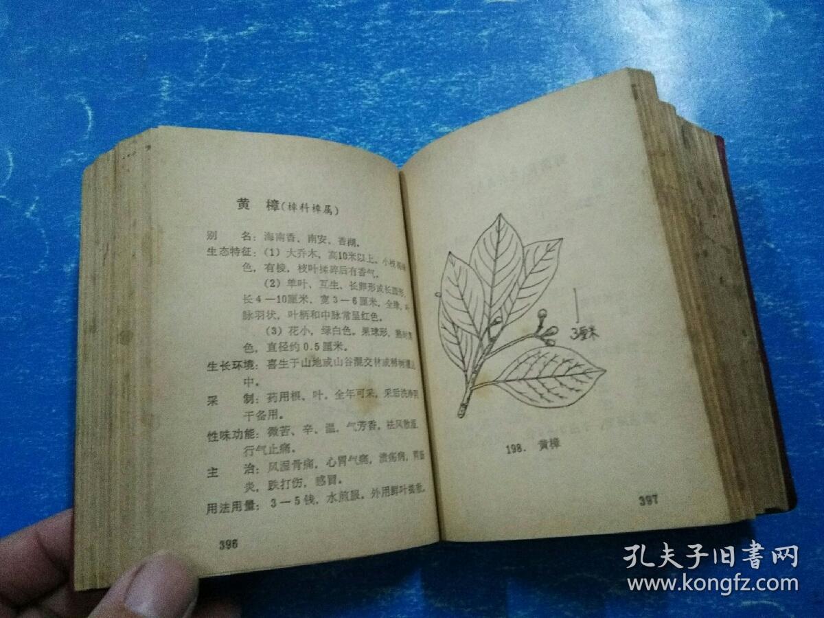 《海南岛常用中草药手册》民间草药与验方