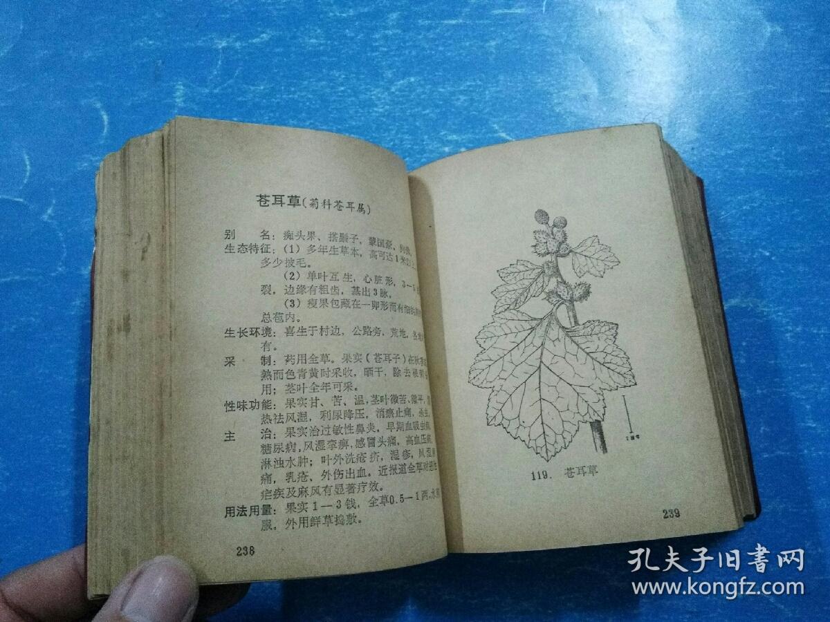 海南岛常用中草药手册民间草药与验方