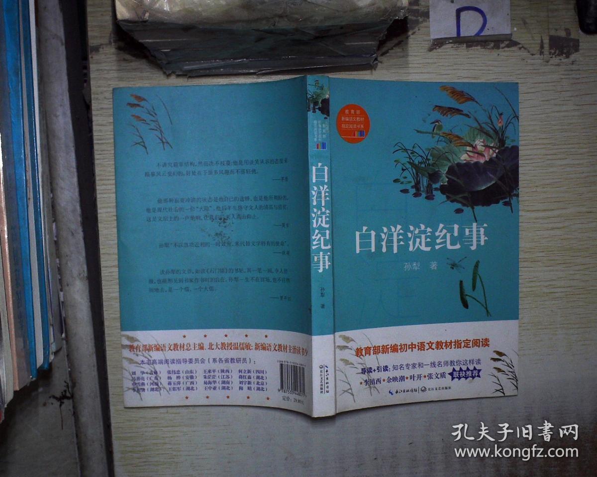 白洋淀纪事 .