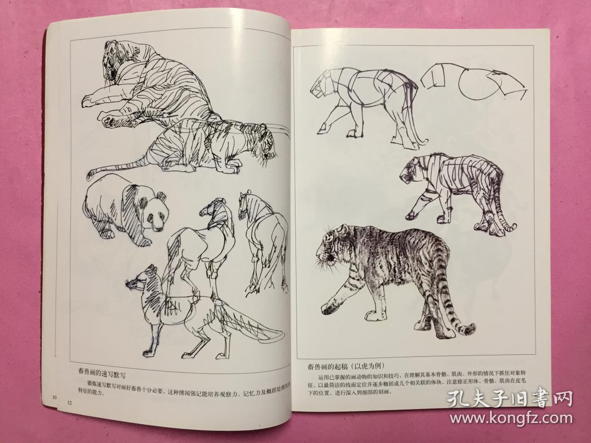 百兽画谱