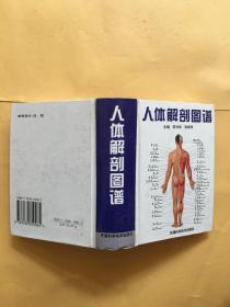 人體解剖圖譜