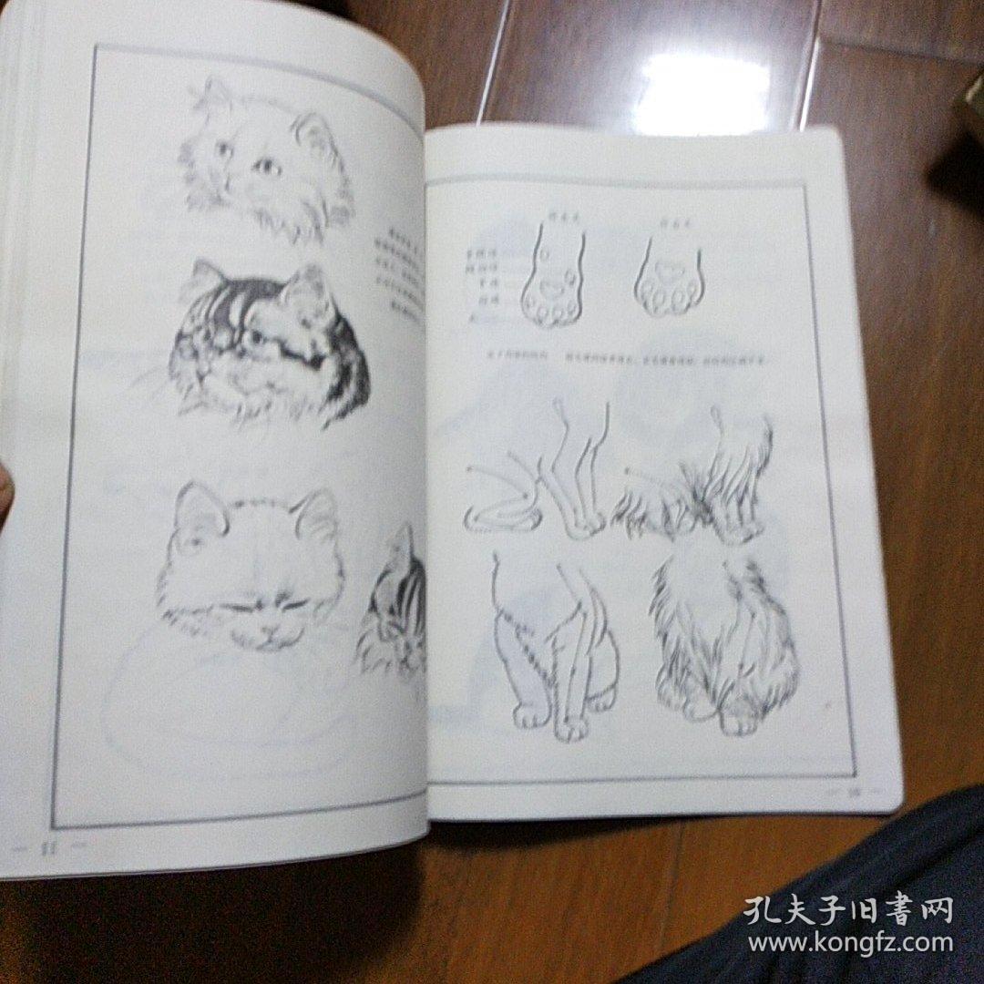 百猫谱