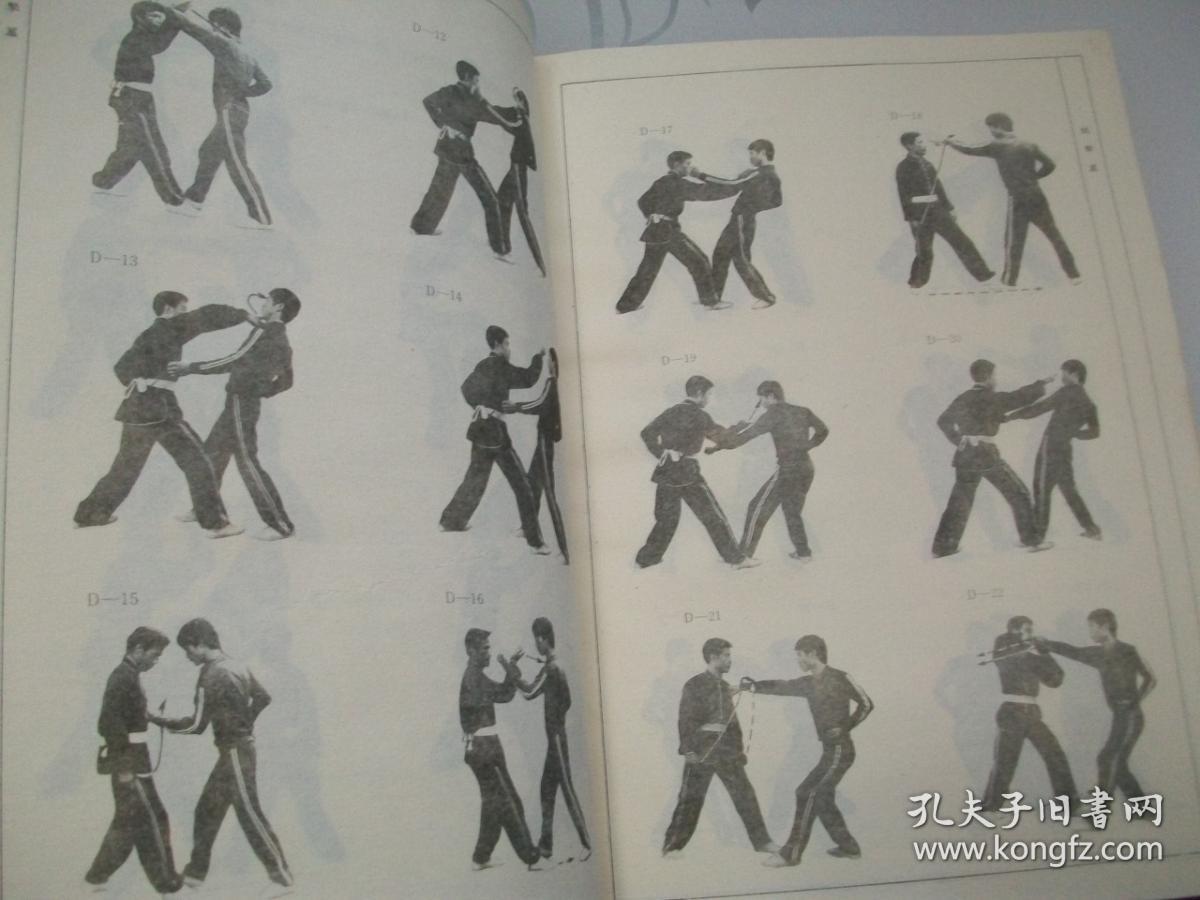 中华武术大观(1-5)5册合售(《1》沙国政专辑:八卦狮形