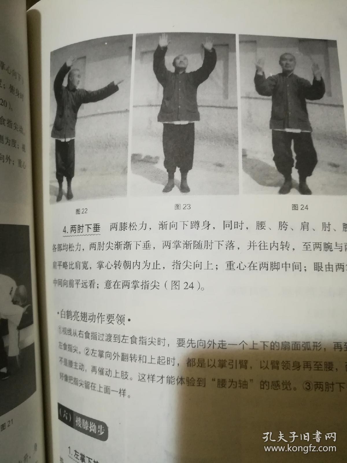 杨禹廷太极拳诠真